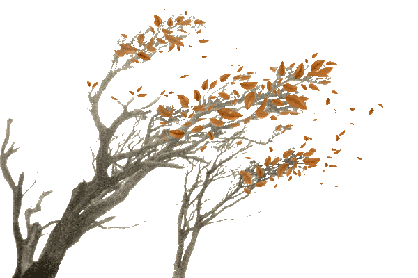 Leaning Trees