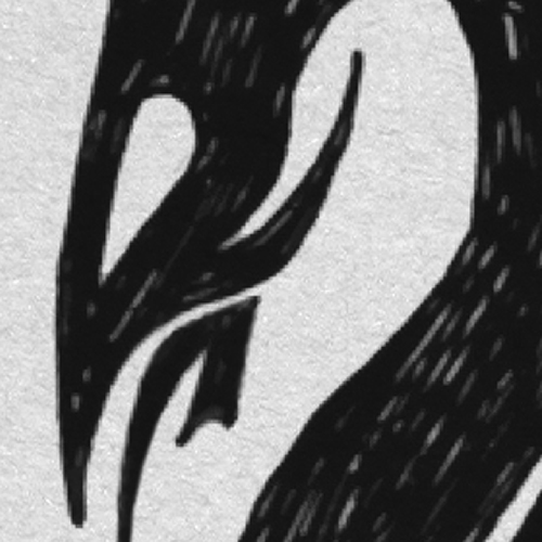 Sketch - Dragon tattoo