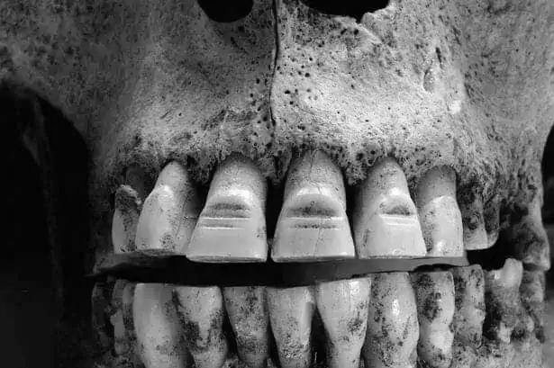 Viking Tooth Decorations